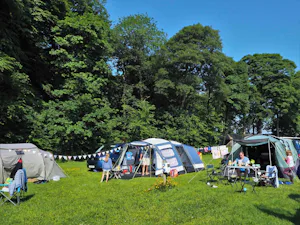 Trewan Hall Club Site