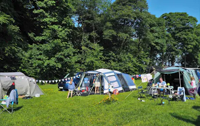 Trewan Hall Club Site