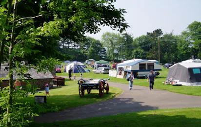 Trewan Hall Club Site