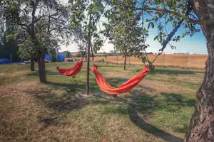 Triocamp Praha - Hängematten mit Blick auf die Umgebung vom Campingplatz