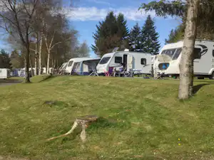Wohnmobile und Campingbusse auf einem grünen Stellplatz, mit Vorzelten, Stühlen und Tischen neben Bäumen.
