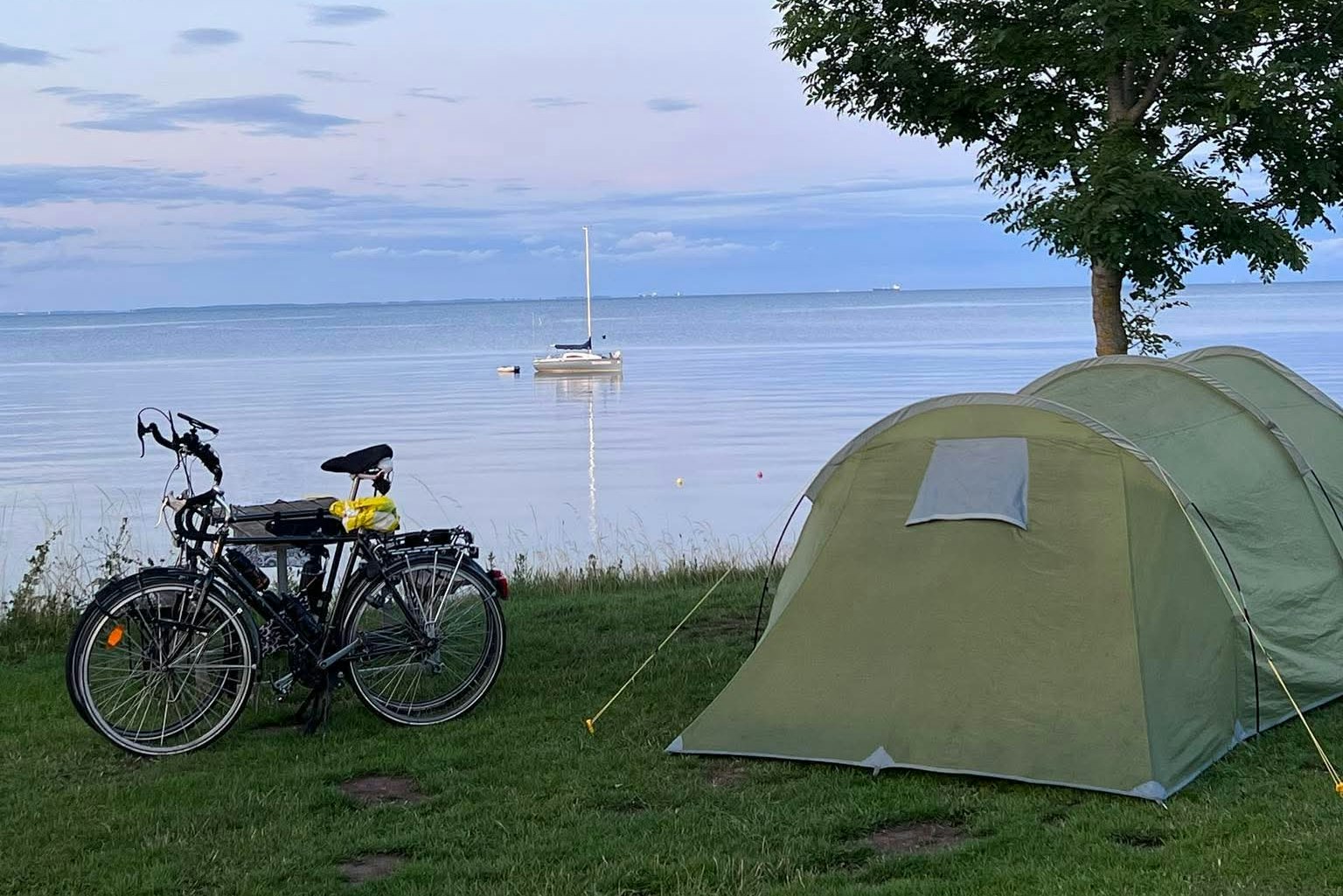 Tårup Strand Camping - Zeltplatz mit Blick auf das Wasser