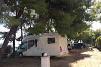 Tsoli's Camping  -  Wohnwagenstellplatz vom Campingplatz unter Bäumen mit Blick auf das Meer