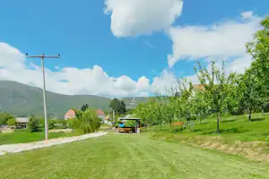 Tune Lakeside Resort - Wohnmobil- und Wohnwagenstandplätze auf der Wiese