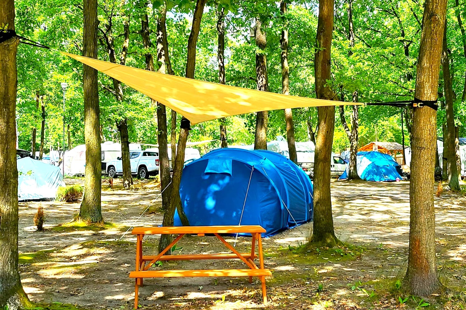 Turawa Trzy Jeziora - Zeltplatz zwischen den Bäumen