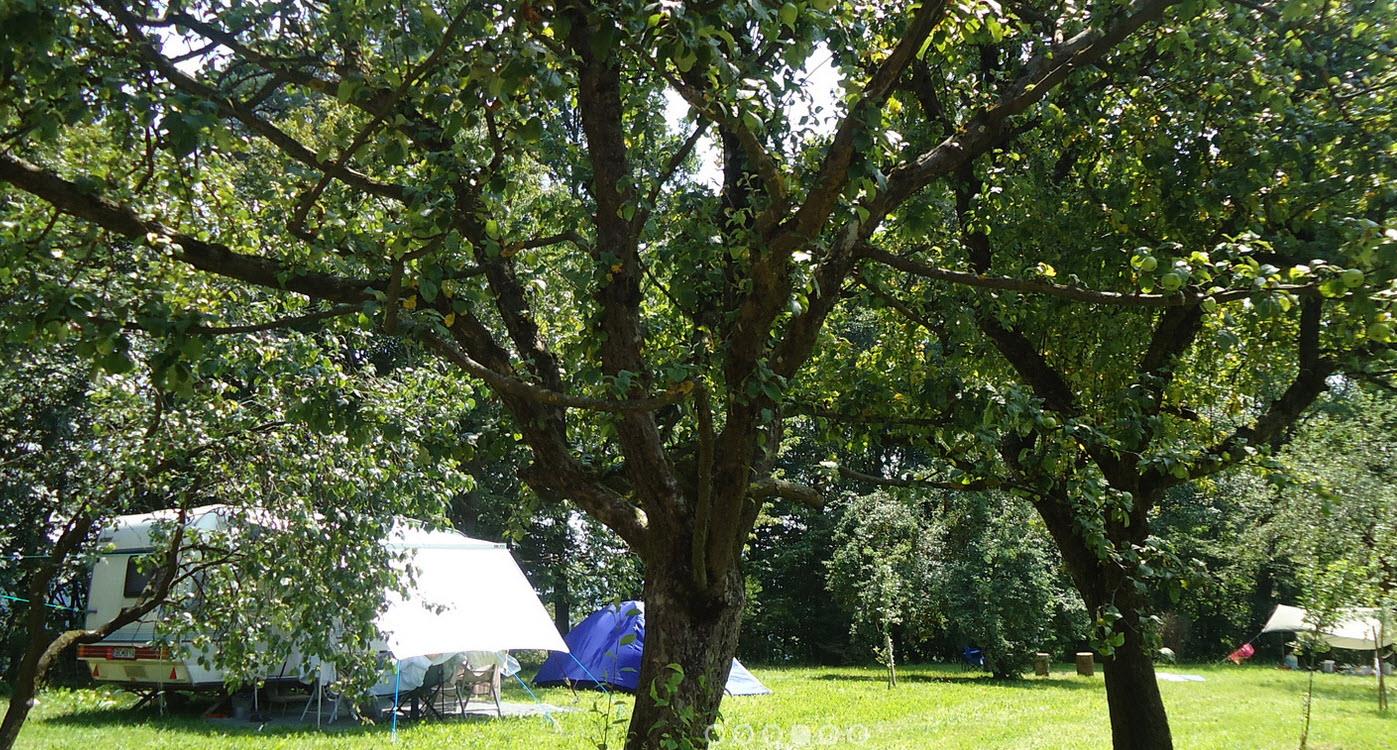 Turisticna kmetija Hribar