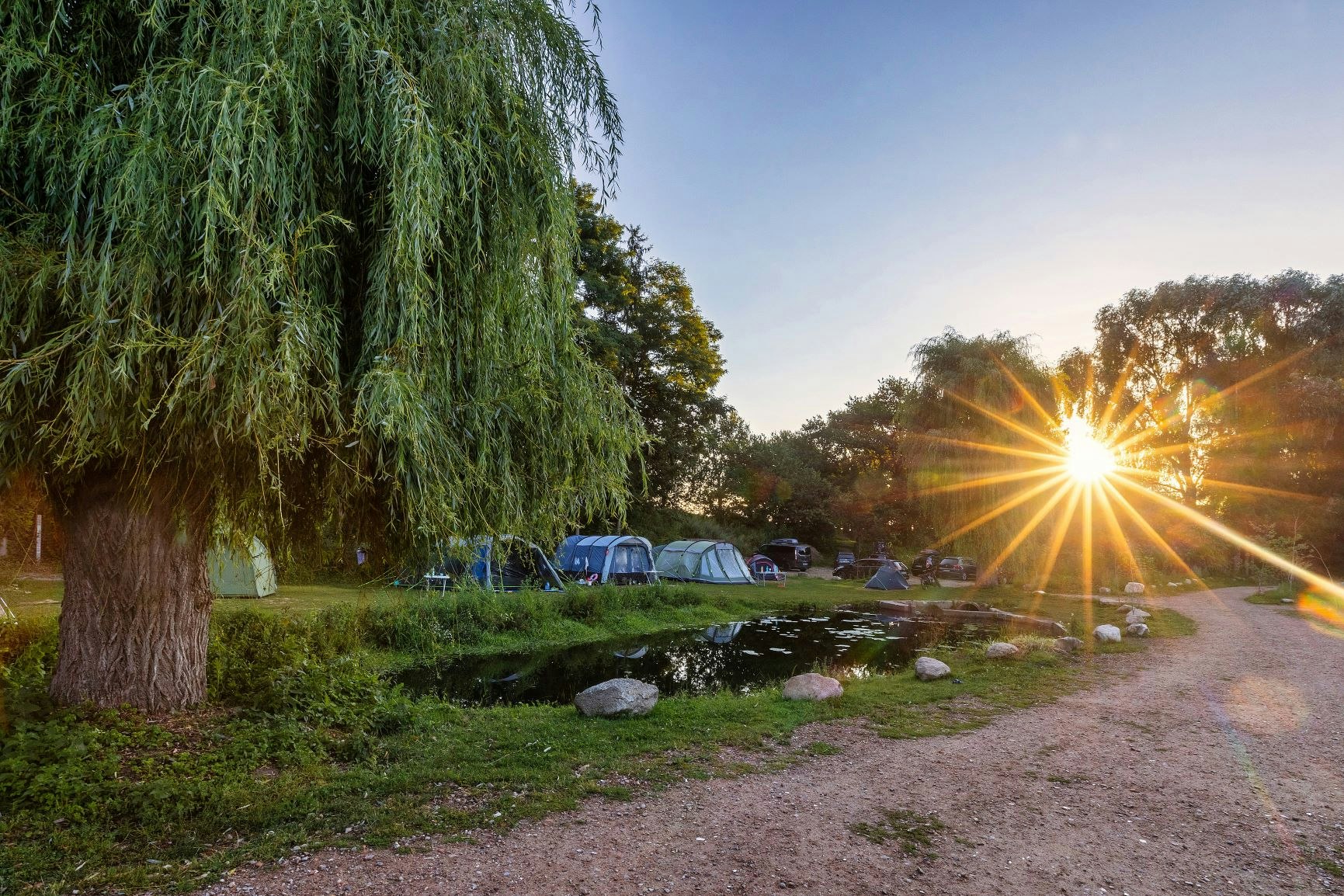 Uhlenköper-Camp - Blick auf die Zeltwiese bei Sonnenuntergang