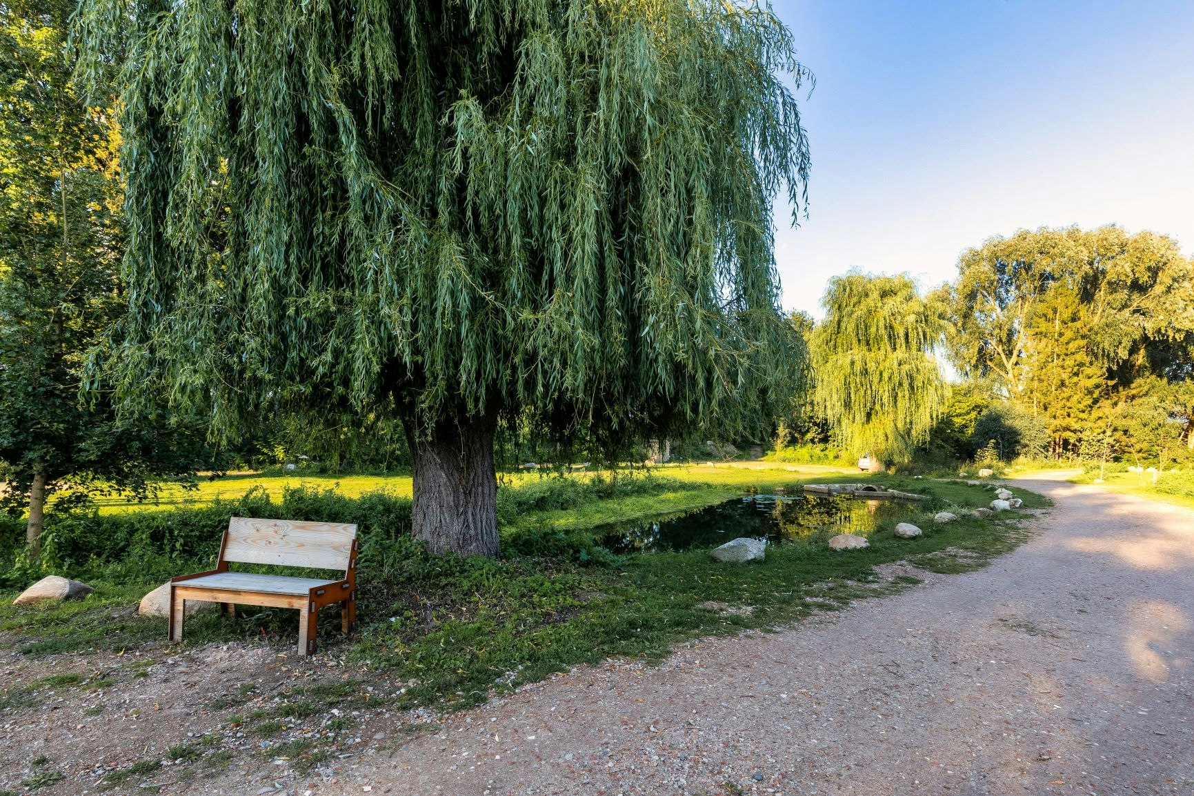 Uhlenköper-Camp - Blick ins Grüne 