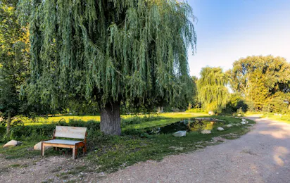 Uhlenköper-Camp