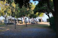 Ulisse Area Camper - strandnahe Standplätze auf einer Wiese im Schatten unter Bäumen