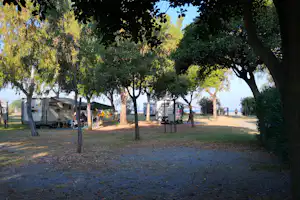 Ulisse Area Camper - strandnahe Standplätze auf einer Wiese im Schatten unter Bäumen