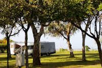Ulisse Area Camper - strandnahe Standplätze im Halbschatten unter Bäumen