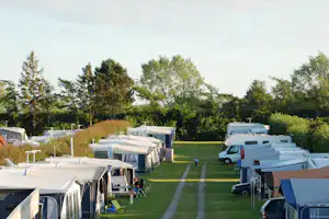 Ulslev Strandcamping - Wohnwagenstellplatz und Wohnmobilstellplatz vom Campingplatz im Grünen