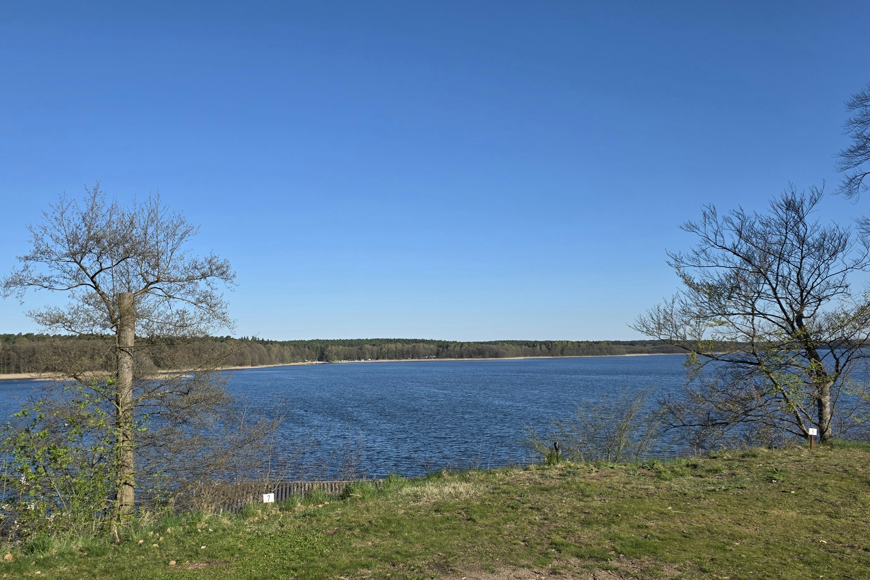 Seeufer mit Gras und Bäumen im Vordergrund, ruhiges Wasser und bewaldete Hügel am Horizont.