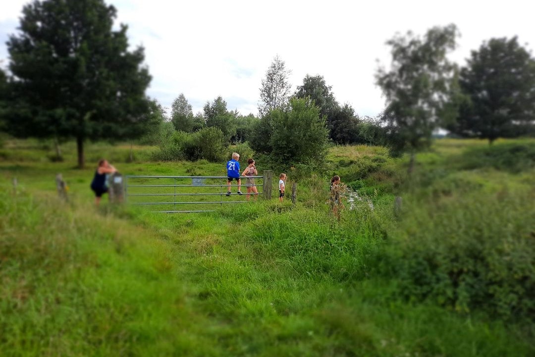 Vakantieboerderij Pepinushof - Blick in die Natur in der Umgebung des Campingplatzes