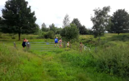 Vakantieboerderij Pepinushof