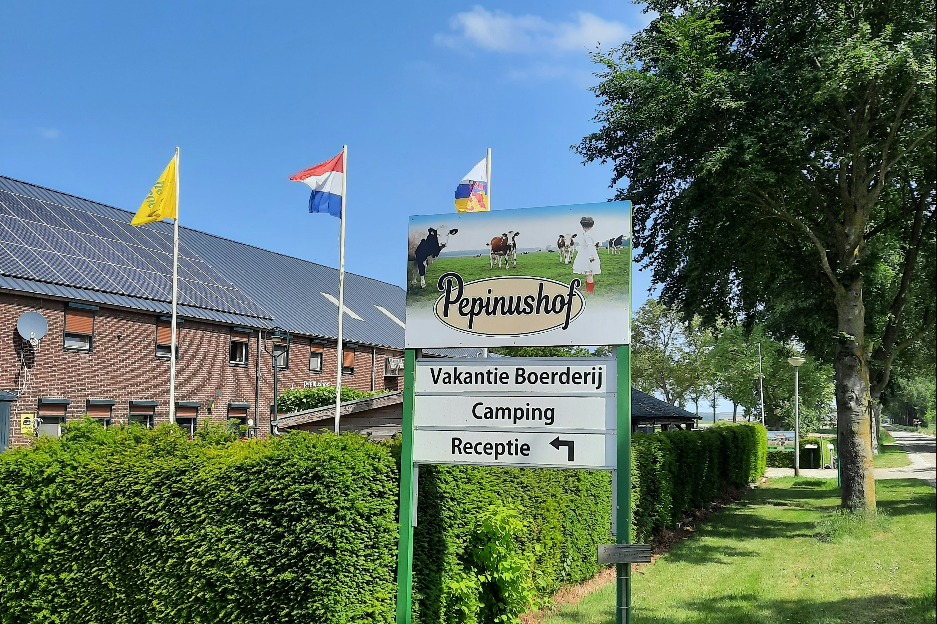 Vakantieboerderij Pepinushof - Eingang des Campingplatzes