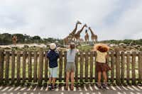 Vakantiepark Beekse Bergen  - Giraffen im Safari Park am Campingplatz
