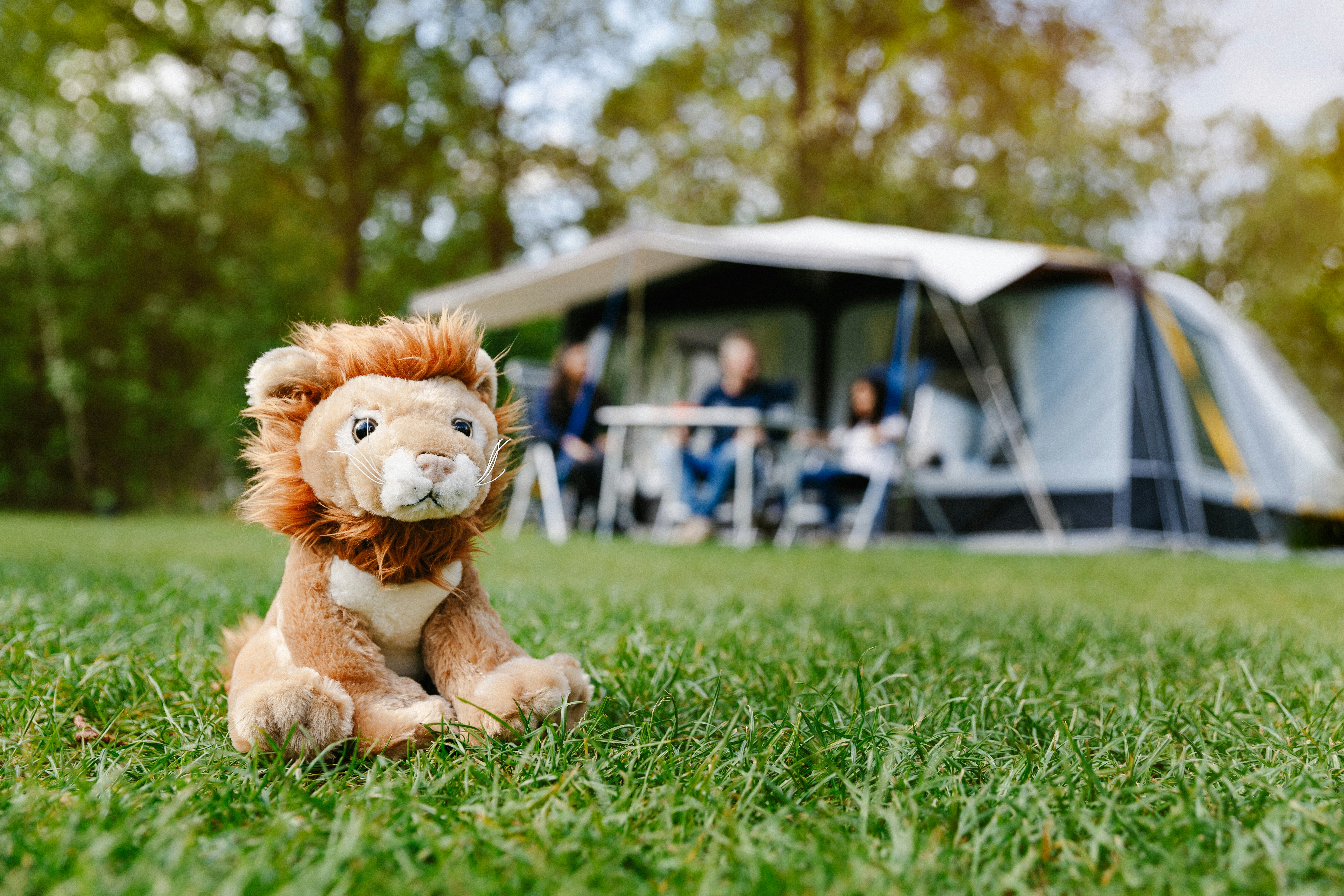 Vakantiepark Beekse Bergen - Spielzeug Stofftier Löse auf der Wiese mit Standplätzen