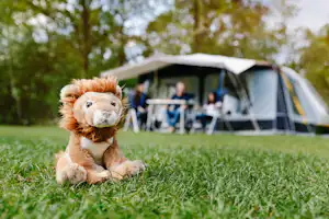 Vakantiepark Beekse Bergen - Spielzeug Stofftier Löse auf der Wiese mit Standplätzen