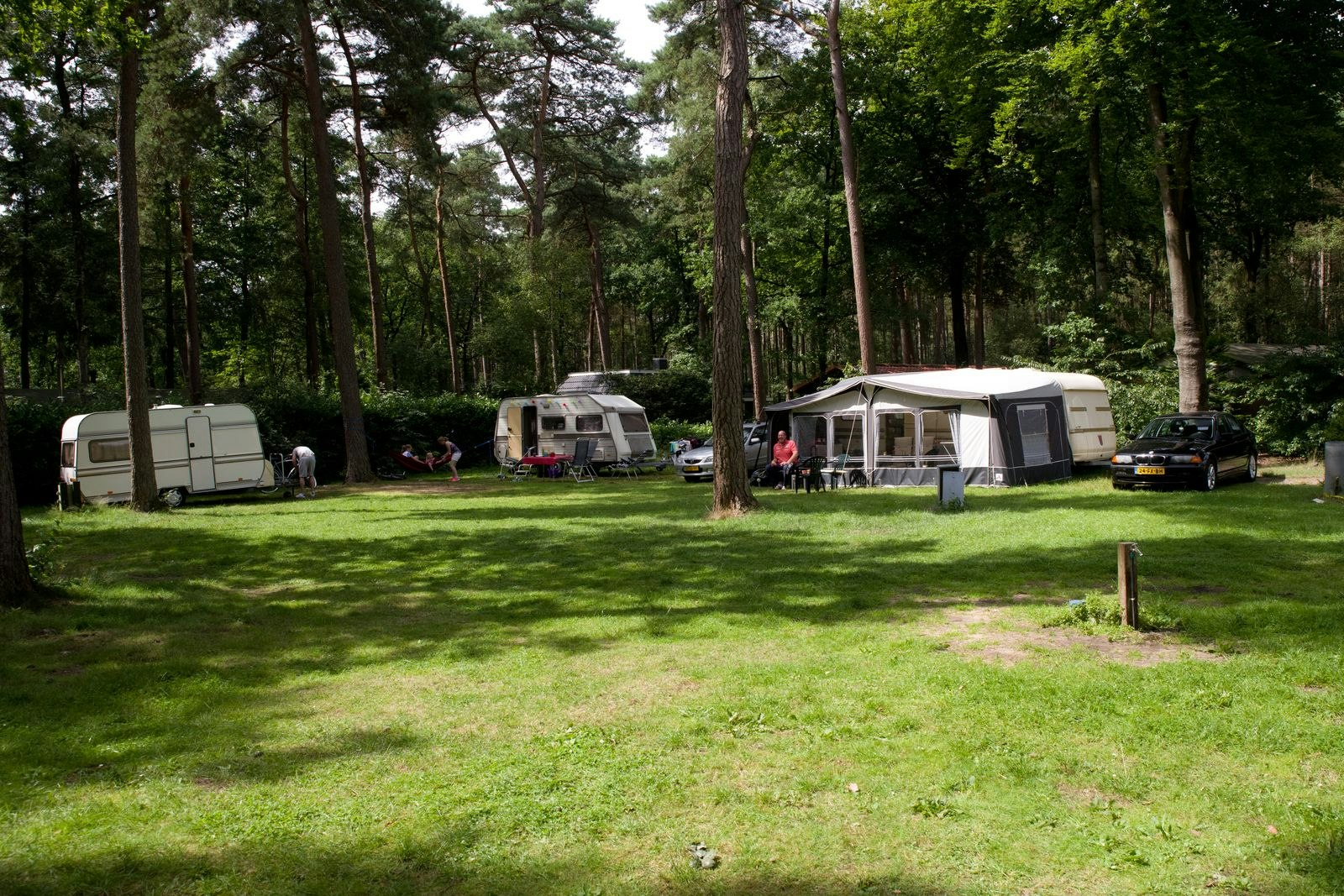 Vakantiepark Bonte Vlucht - Standplätze zwischen den Bäumen auf dem Campingplatz