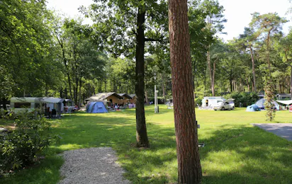 Vakantiepark Bonte Vlucht