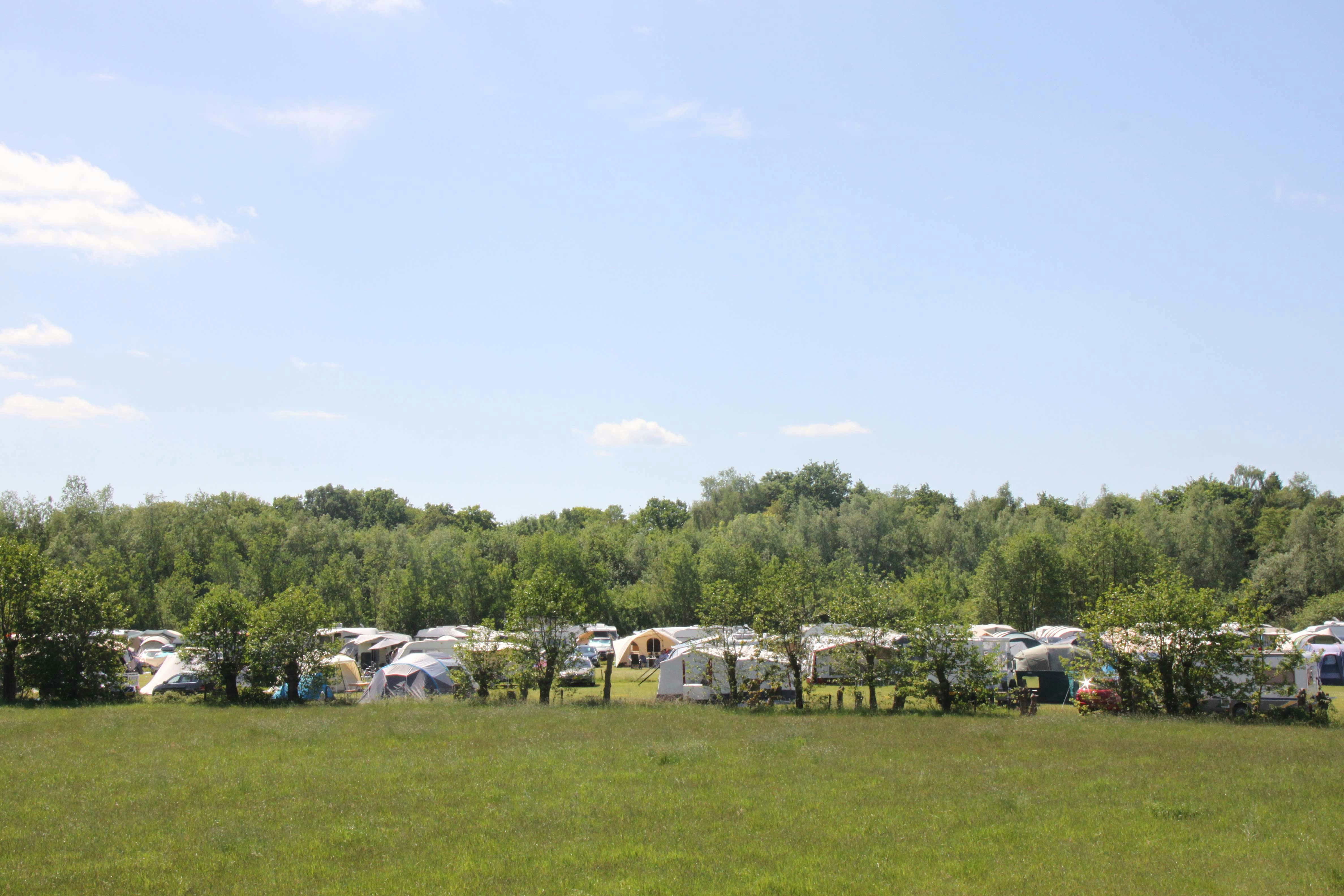 Vakantiepark De Heigraaf - Standplatzwiese auf dem Campingplatz