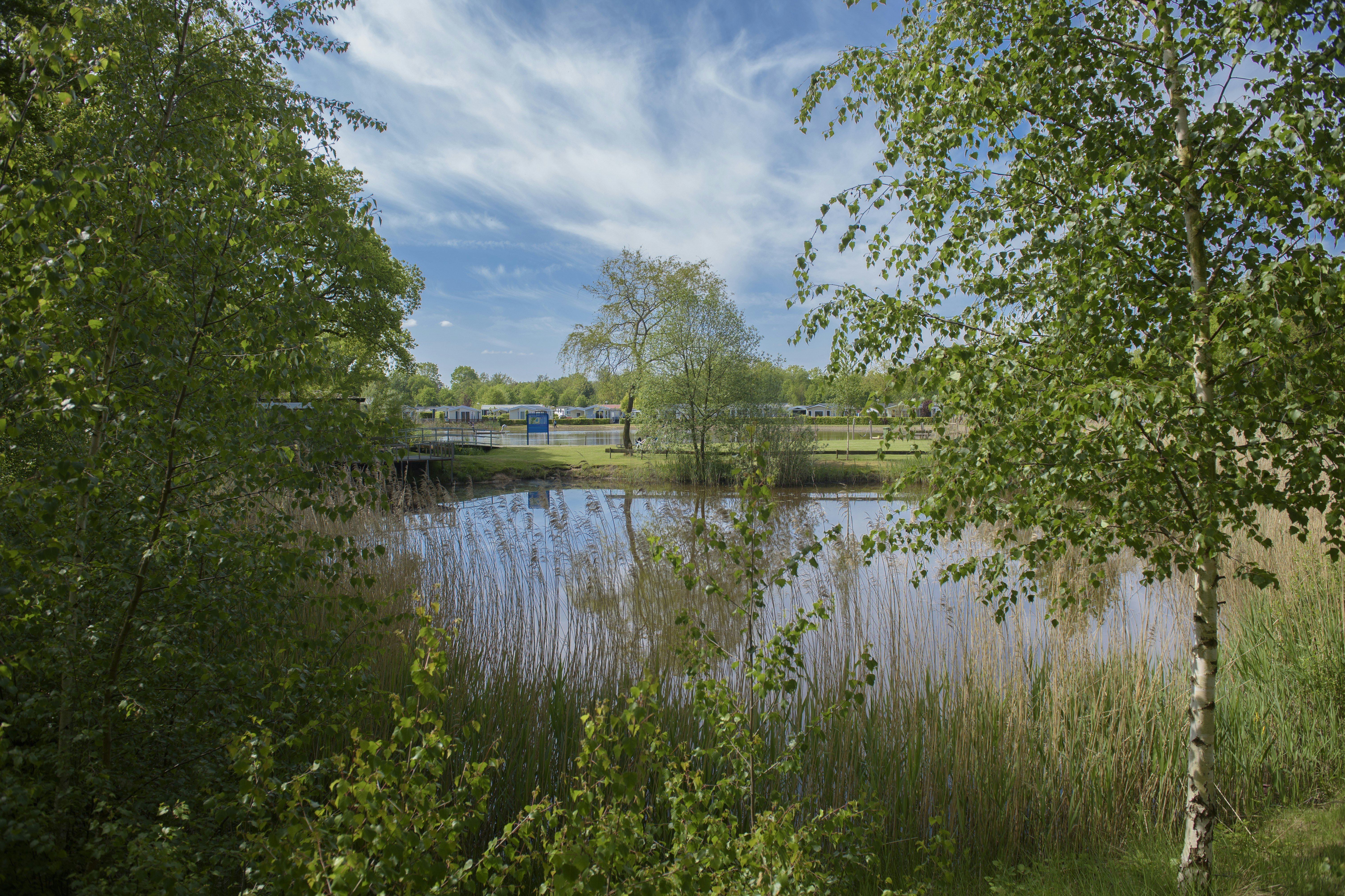Vakantiepark De Kleine Belties - Blick auf den See auf dem Campingplatz