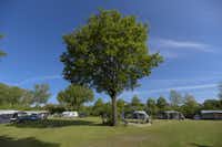 Vakantiepark De Kleine Belties - Standplätze auf dem Campingplatz