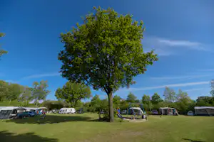 Vakantiepark De Kleine Belties - Standplätze auf dem Campingplatz
