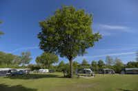 Vakantiepark De Kleine Belties - Standplätze auf dem Campingplatz