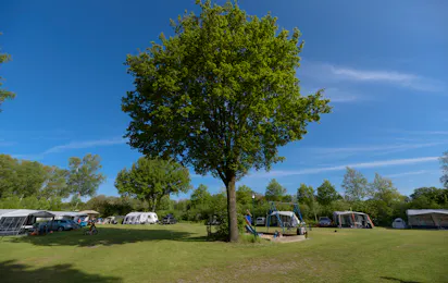 Vakantiepark De Kleine Belties