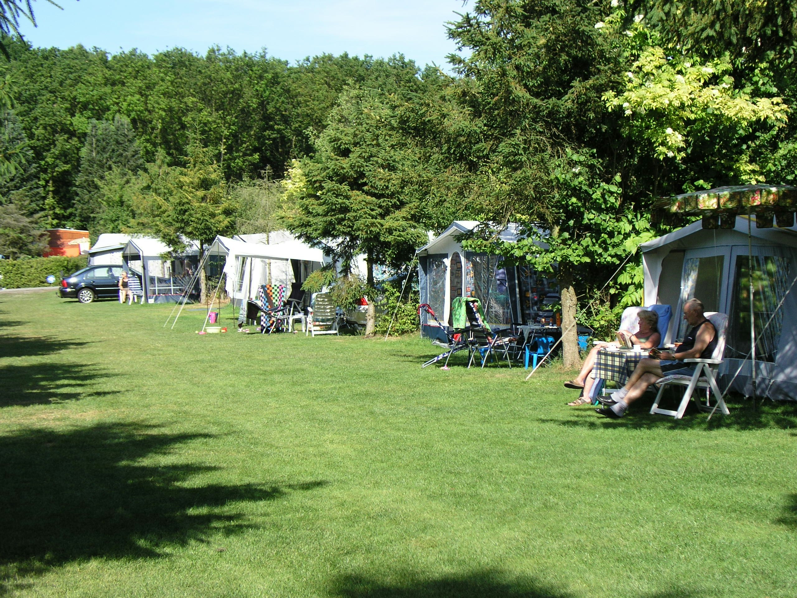 Vakantiepark De Luttenberg - schattiger Wohnmobilstellplatz auf dem Campingplatz --