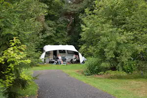 EuroParcs De Wiltzangh Vakantiepark De Wiltzangh - Blick auf einen Stellplatz umgeben von Wald
