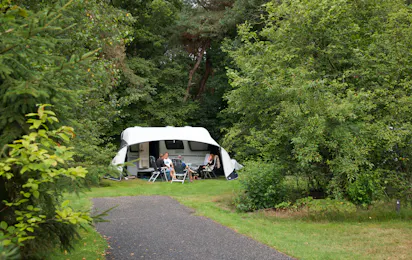 Camping De Wiltzangh