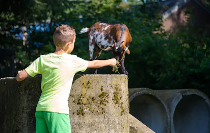Camping De Wiltzangh