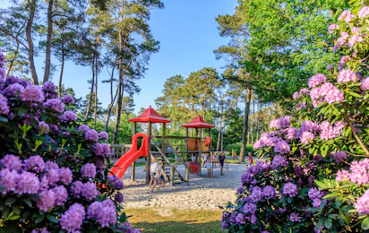 Ardoer Camping Diana Heide