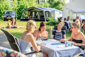 Vakantiepark Diana Heide - Camper auf dem Wohnwagen- und Zeltstellplatz vom Campingplatz auf grüner Wiese