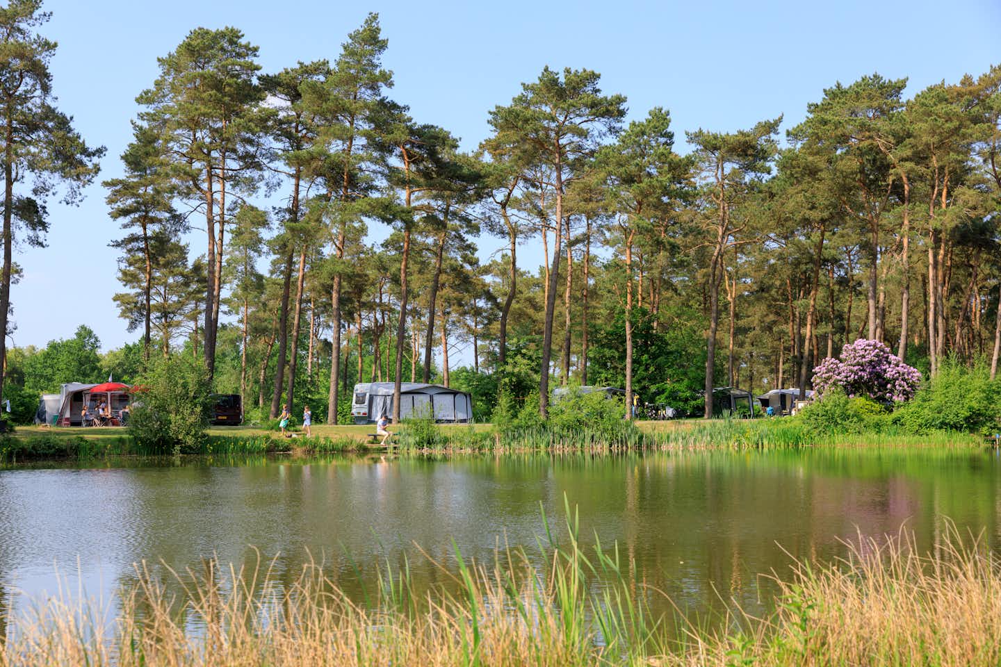 Vakantiepark Diana Heide  -  Stellplatz vom Campingplatz am Ufer des Sees