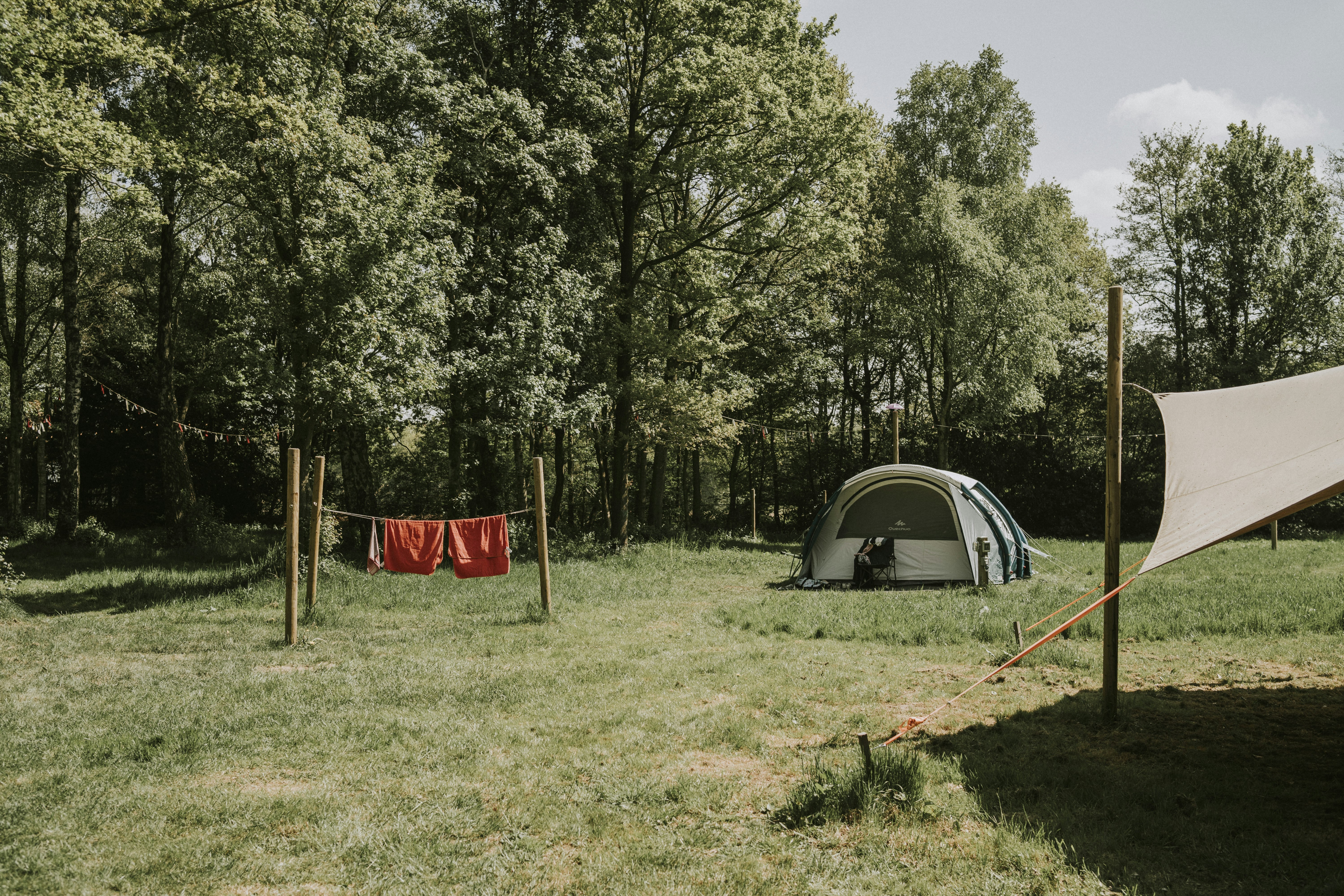 Vakantiepark Dierenbos - Blick auf die Wiese mit Standplätzen umgeben von Bäumen