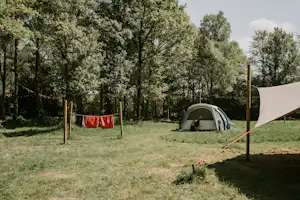 Vakantiepark Dierenbos - Blick auf die Wiese mit Standplätzen umgeben von Bäumen