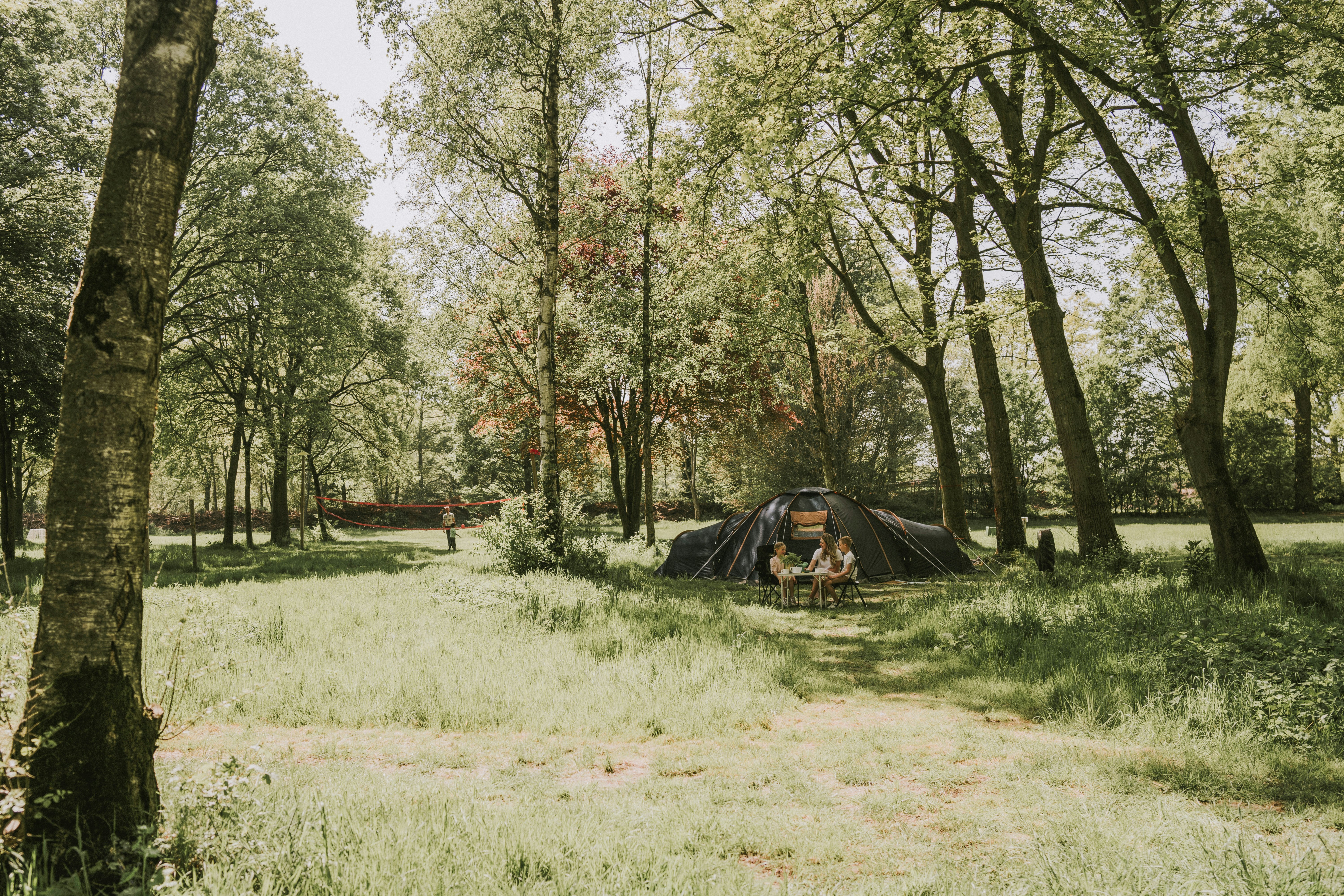 Vakantiepark Dierenbos - naturbelassene Wiese mit Zelt unter Bäumen