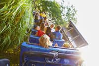 Vakantiepark Duinrell - Achterbahn für Gäste vom Campingplatz