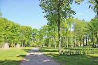 Vakantiepark Duinrell - Grünes Gelände vom Campingplatz mit gepflegten Wohnwagenstellplätzen und kleinen Sanitäreinrichtungen