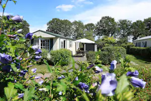 Camping Heino Vakantiepark Heino - Mobilheime auf dem Campingplatz
