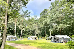 Vakantiepark Hertenhorst - Wohnmobil- und Wohnwagenstellplätze im Grünen
