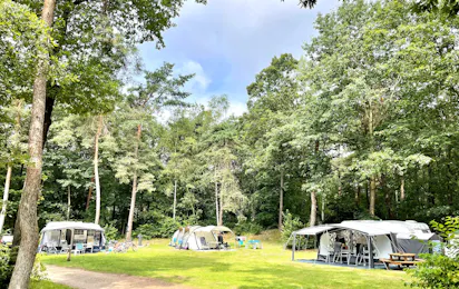 Vakantiepark Hertenhorst
