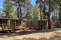 Vakantiepark Hertenhorst - Mobilheime für 4 Personen mit Veranda im Schatten der Bäume