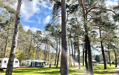 Vakantiepark Hertenhorst