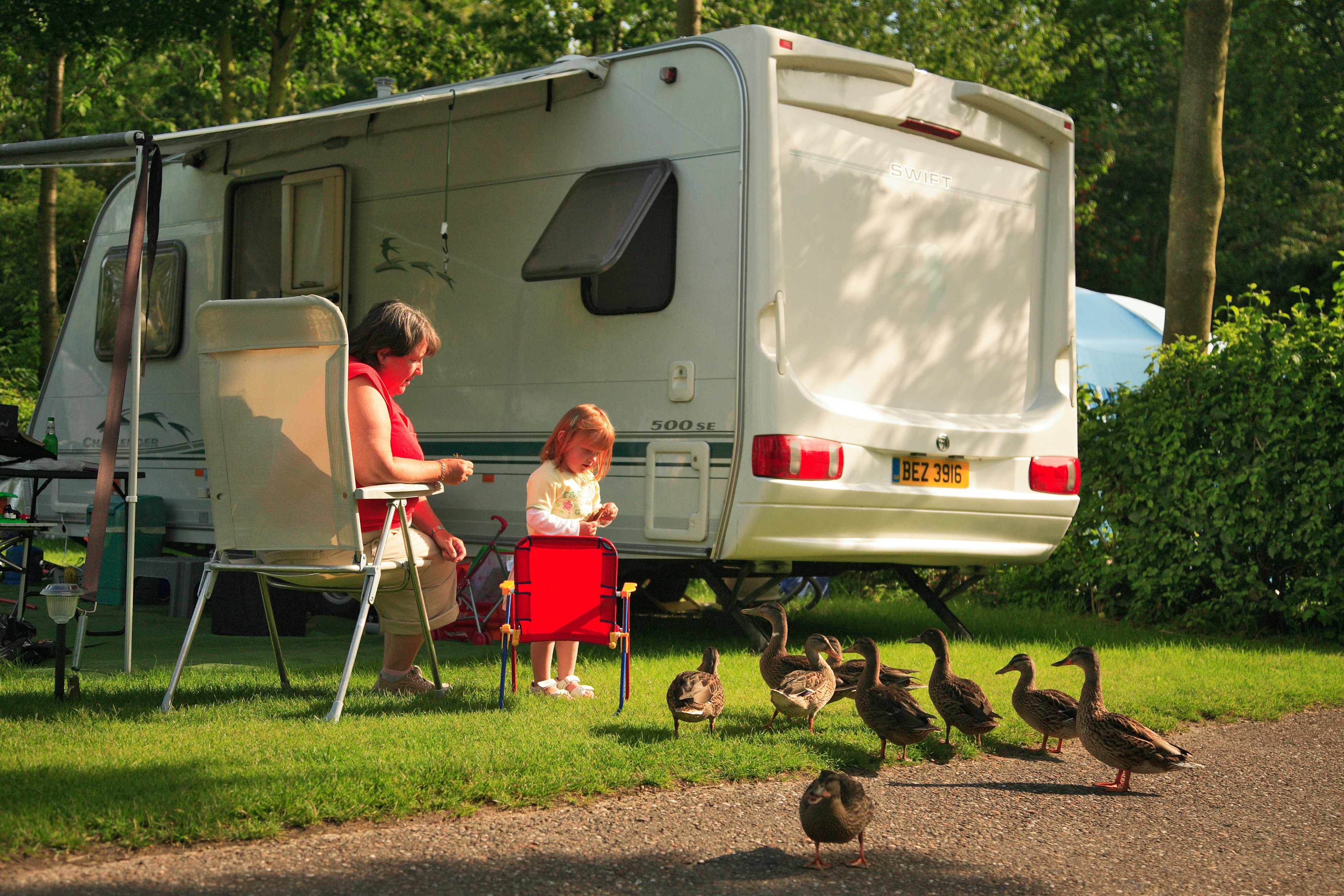 Vakantiepark Koningshof - Familie beim Enten Füttern auf ihrem Stellplatz